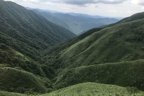 宜蘭抹茶山